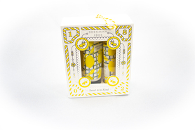 Beekman 1802- Sunshine Lemon, Hand & Lip Gift Set